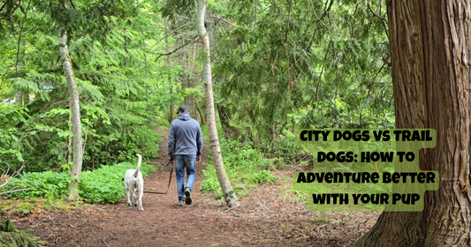 City Dogs vs Trail Dogs: How to Adventure Better with Your Pup