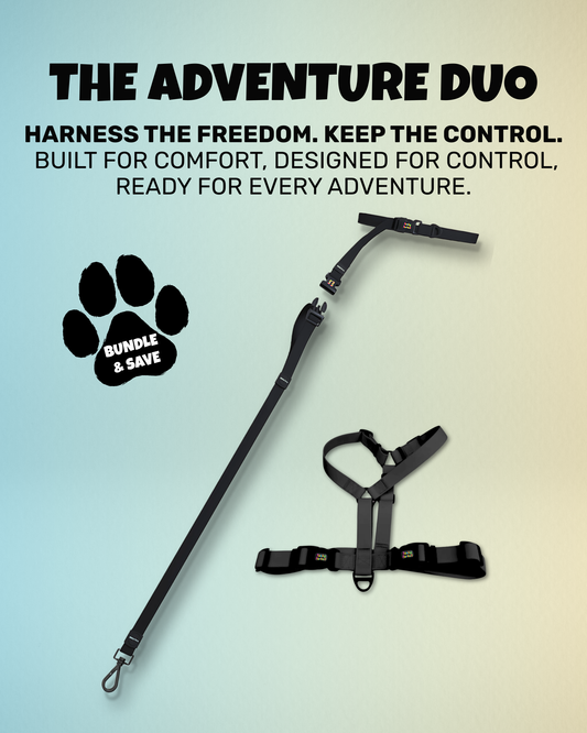 The Adventure Duo