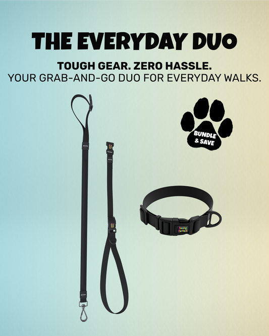 The Everyday Duo