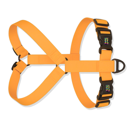 Flex Fit Harness